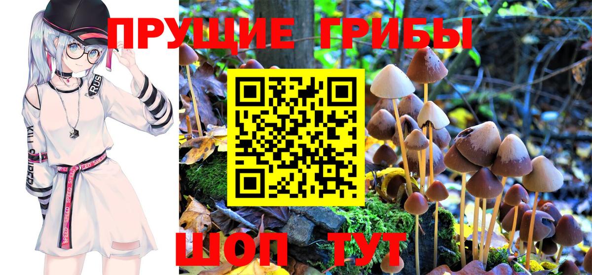 Смоленск  купить   Вход с VPN  Галлюциногенные грибы MAGIC MUSHROOMS 